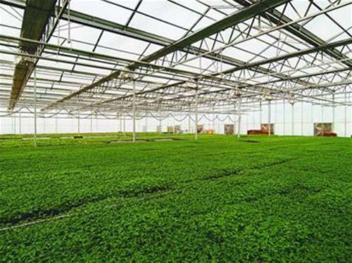 名优农产品专业合作社无公害蔬菜生产基地建设项目实施方案