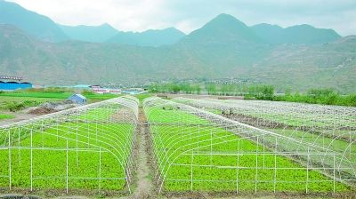 黑龙江省农产品营销渠道的优化研究