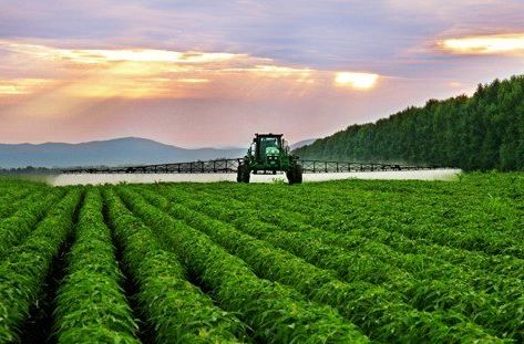 2019广东政府扶持的农业种植补贴项目细则